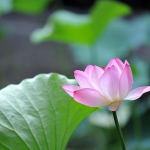 Meet your Posher, May